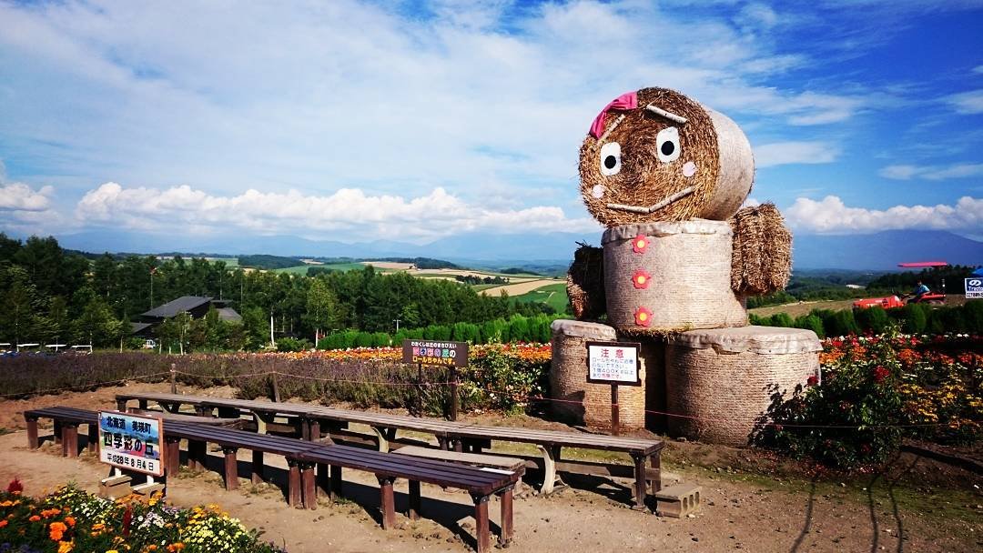 🏞️ 신에이 언덕 전망공원(신에이노오카 텐보코엔) 이미지 8